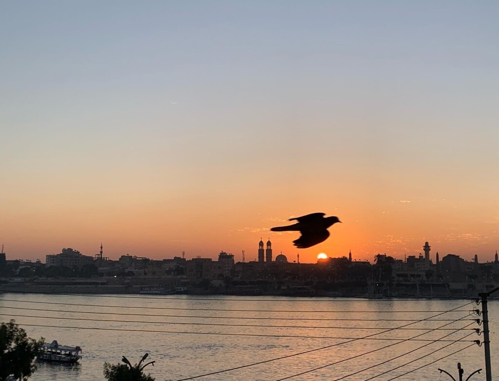  Luxor